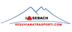 Vesuviana Trasporti